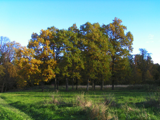 29947 (a): :1024x768